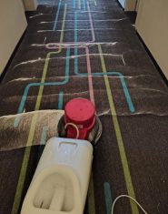 Quy trình giặt thảm định kỳ