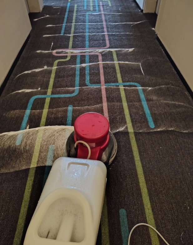 Quy tr&igrave;nh giặt thảm định kỳ