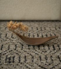 Thảm trải sàn giá rẻ