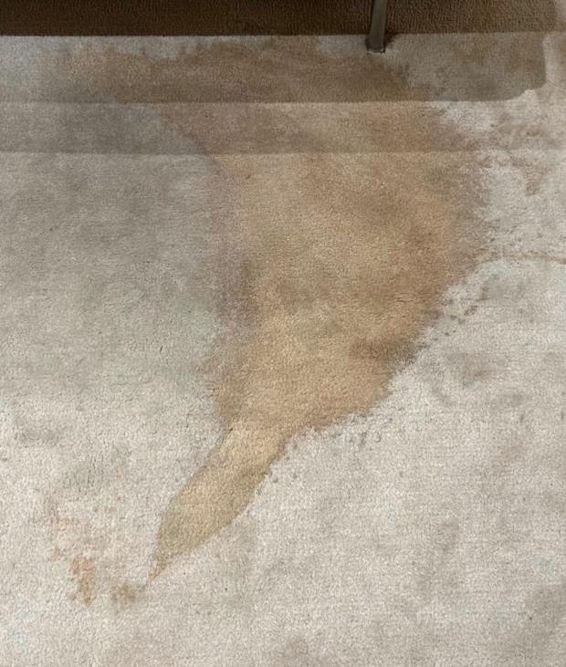 thảm trải sàn bị ẩm mốc