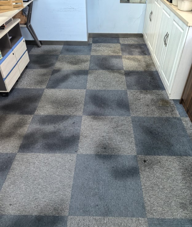 thảm trải sàn bị ẩm mốc