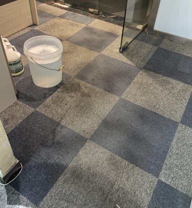 thảm trải sàn bị ẩm mốc