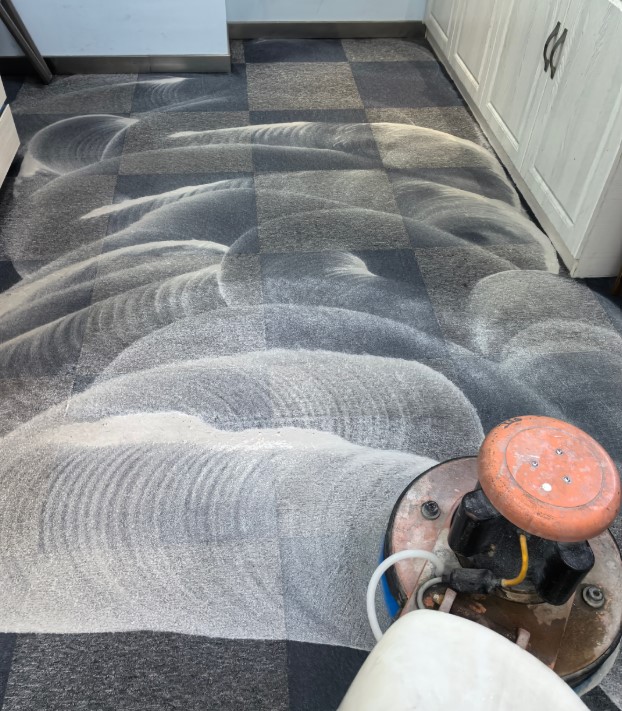 thảm trải sàn bị ẩm mốc