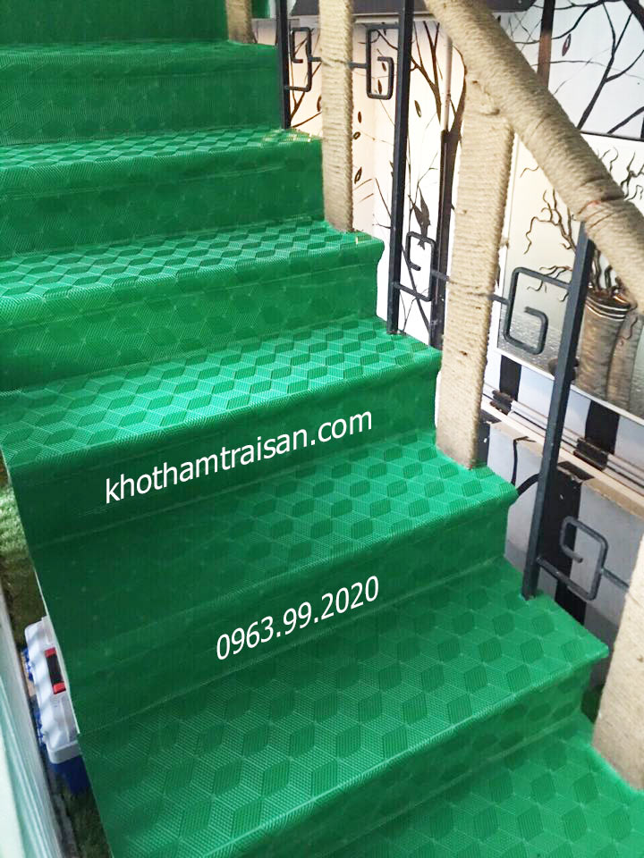 Thảm nhựa bậc thang 3