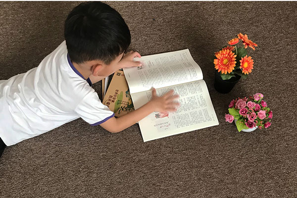 Thảm văn phòng màu nâu